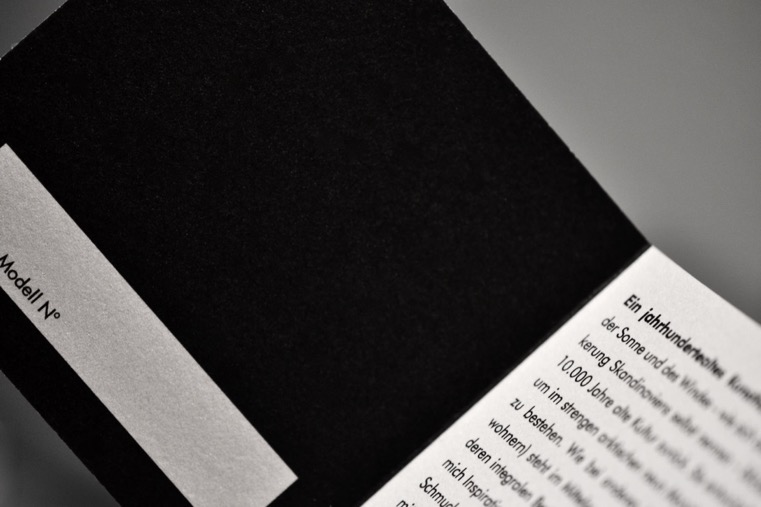 retina