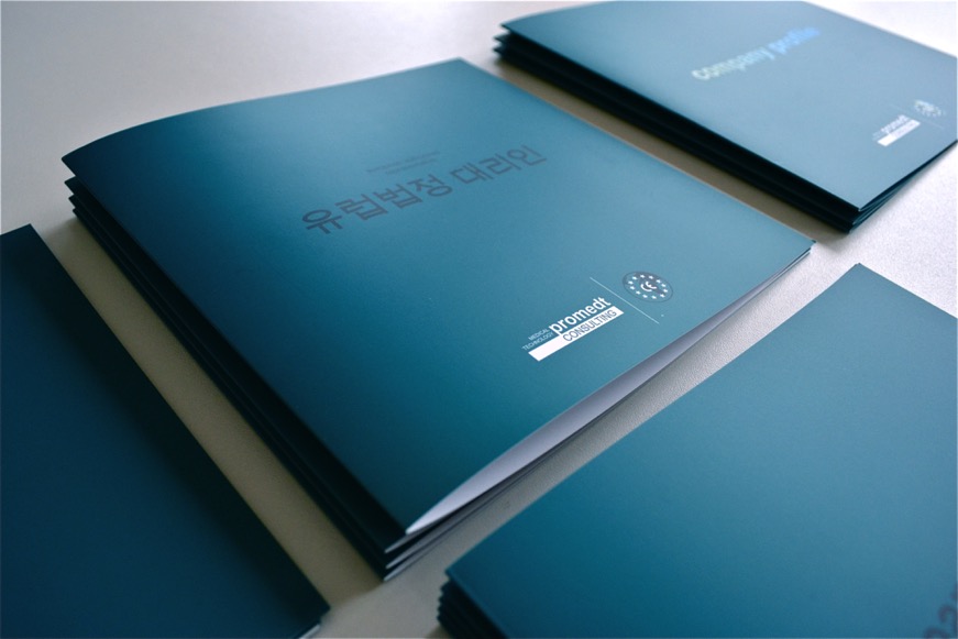 retina